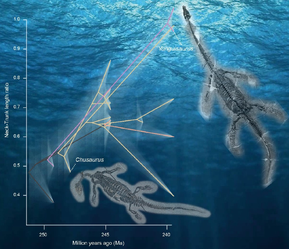 Plesiosaur.jpg